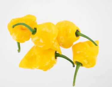 Trinidad Perfume Pepper Seeds - The Pepper Pantry (Formerly Marie Sharp's)